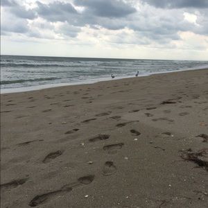 Meet your Posher, Tina